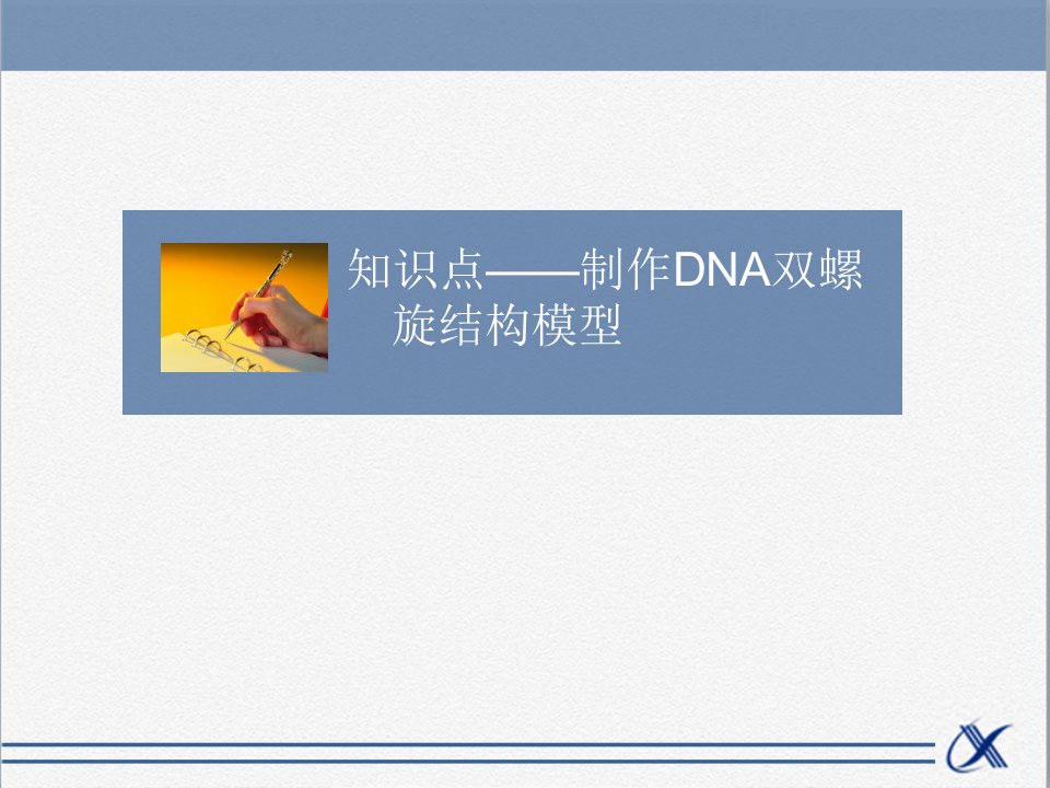 知识点-制作DNA双螺旋结构模型