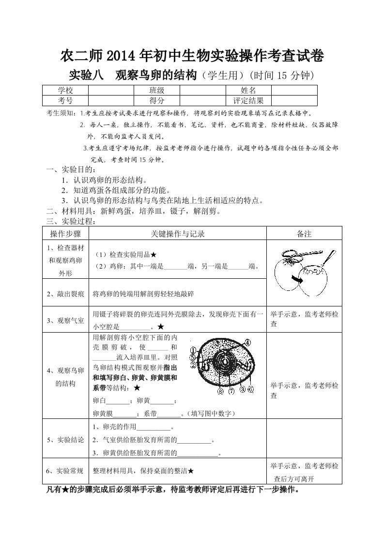 实验八观察鸡卵的结构