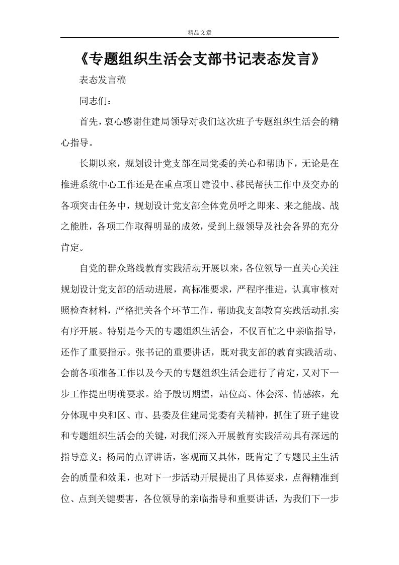 《专题组织生活会支部书记表态发言》