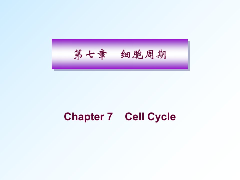 分子生物学：细胞周期-研究生课件