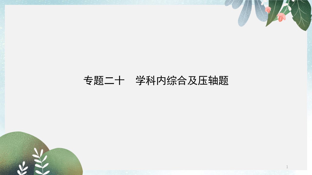 中考物理专题二十学科内综合及压轴题复习习题ppt课件