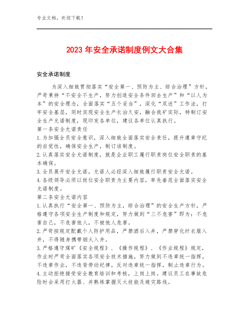 2023年安全承诺制度例文大合集