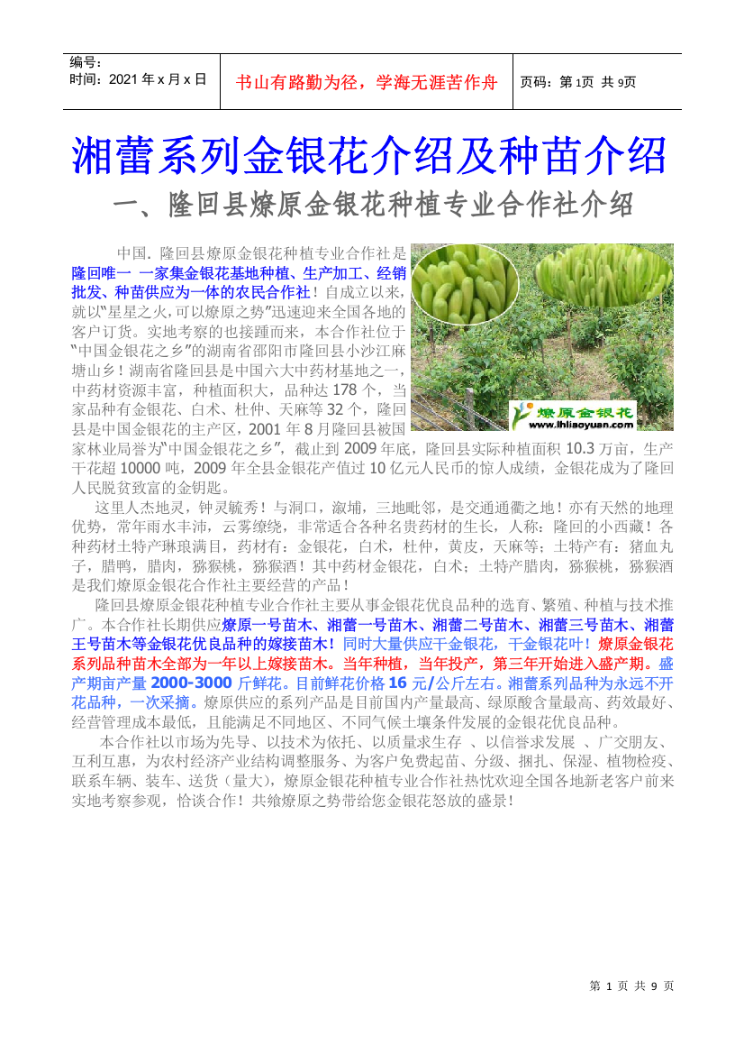 金银花苗木品种分析