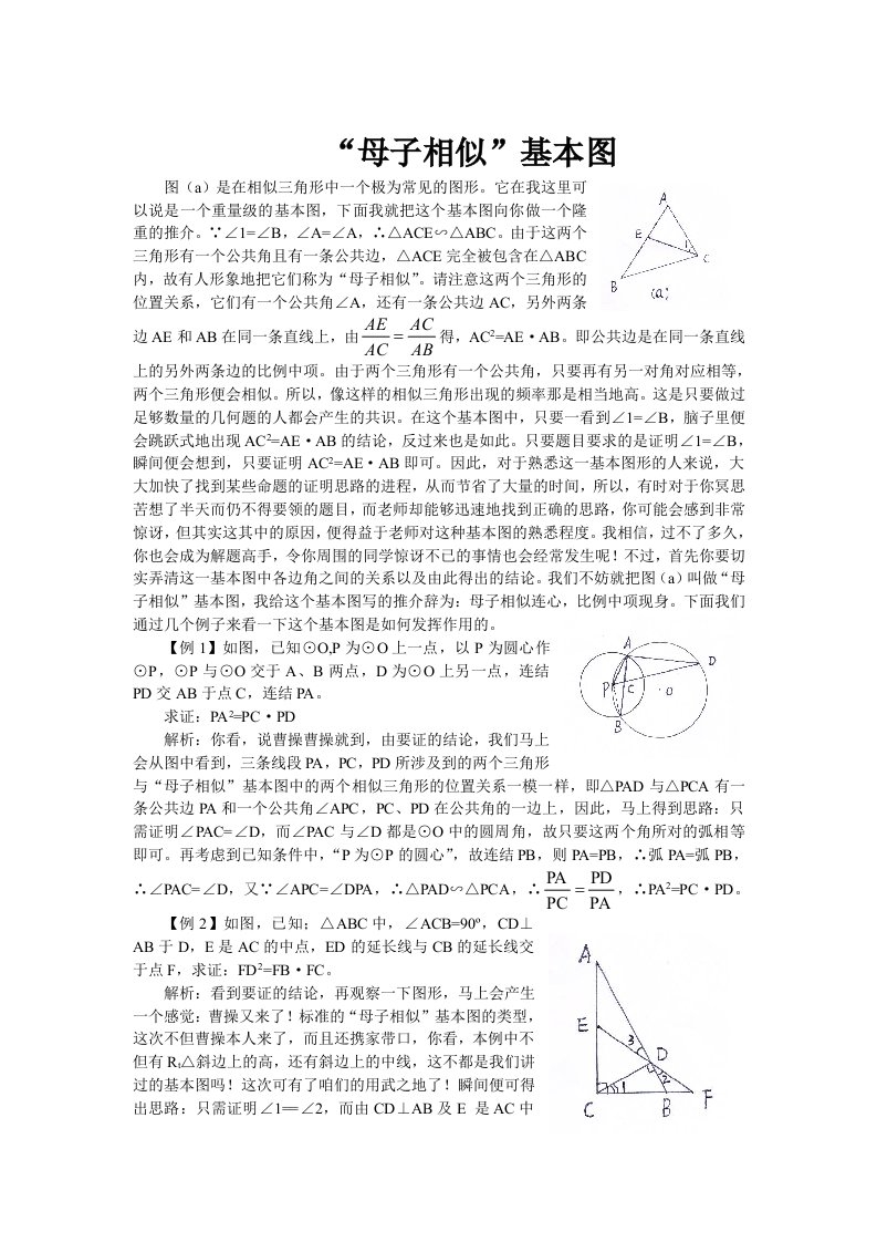 《丁老师辅导初中数学》精彩片段欣赏