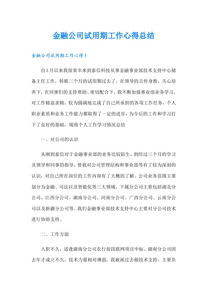 金融公司试用期工作心得总结