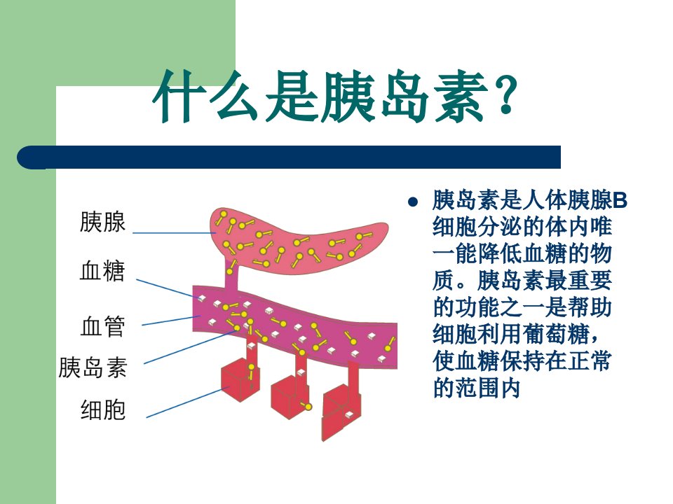 新胰岛素科普指南