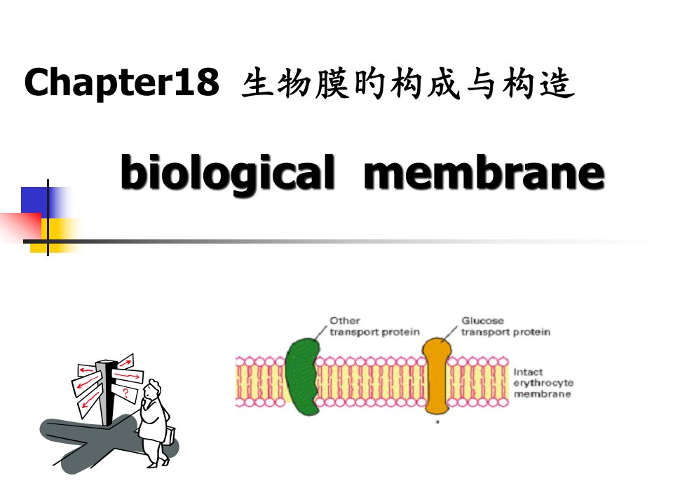 生物膜的组成和性质公开课获奖课件百校联赛一等奖课件