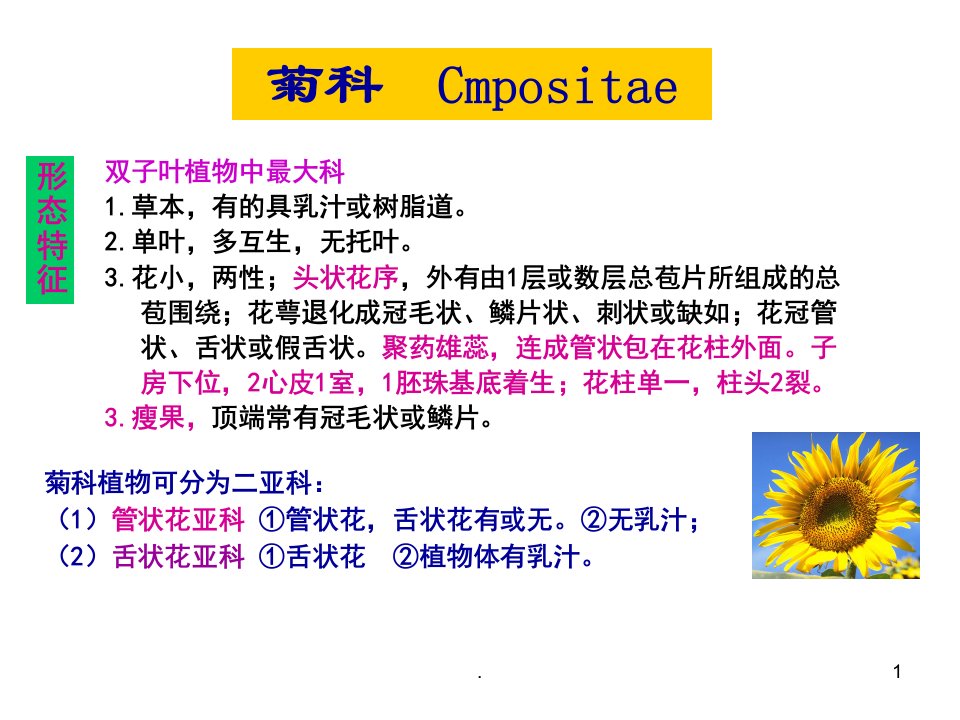 生药学苍术白术PPT演示课件