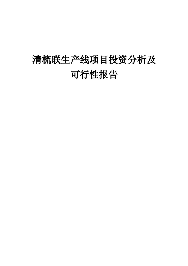 2024年清梳联生产线项目投资分析及可行性报告