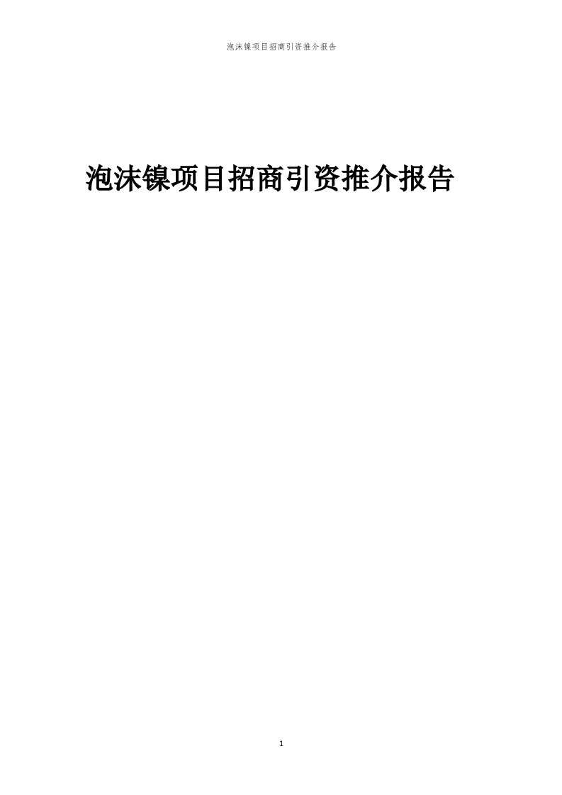 2023年泡沫镍项目招商引资推介报告