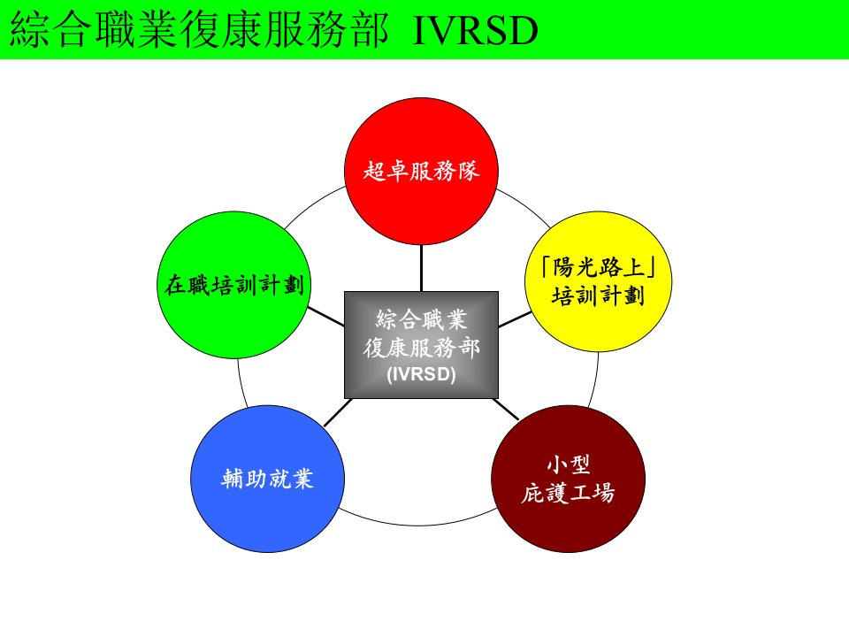 [精选]综合职业复康服务部