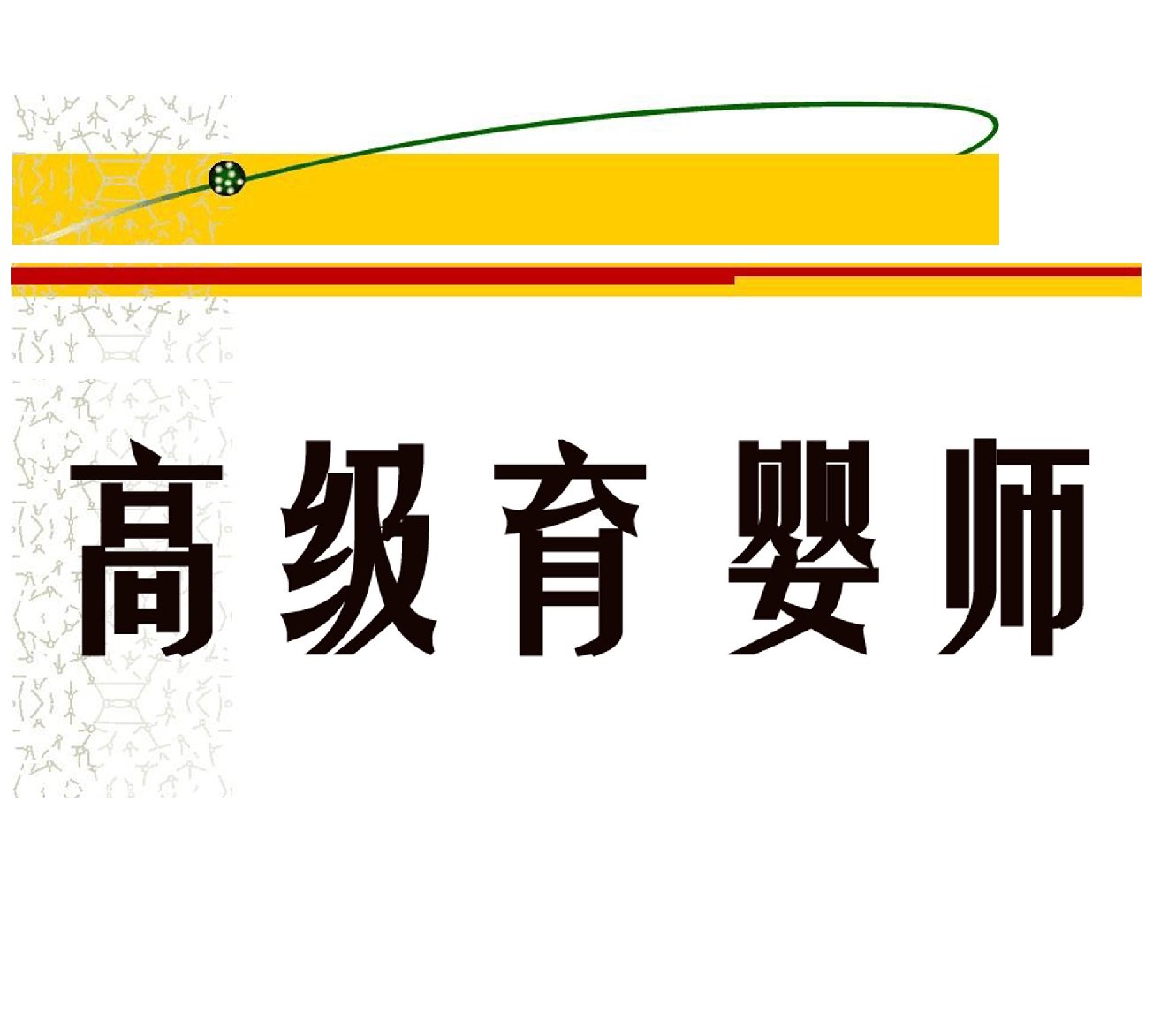 高级育婴师培训课程PPT精品课程课件全册课件汇总