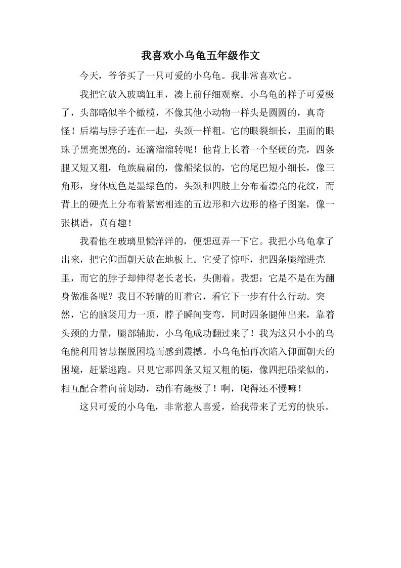 我喜欢小乌龟五年级作文