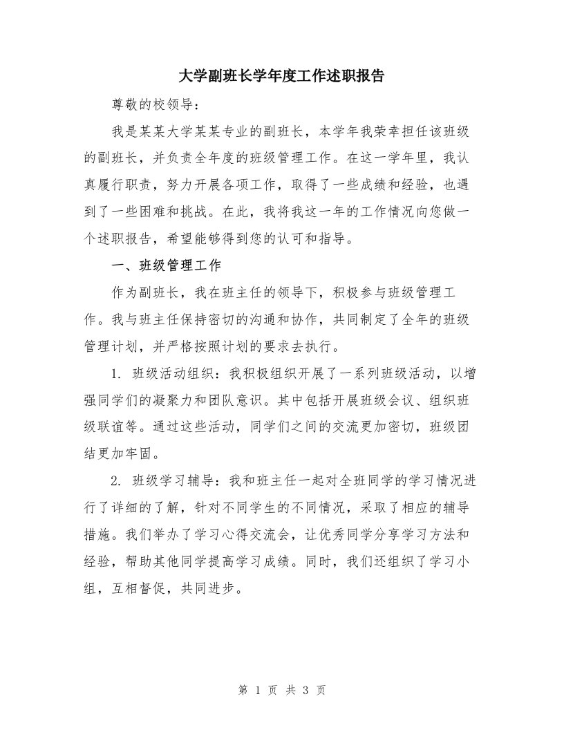 大学副班长学年度工作述职报告