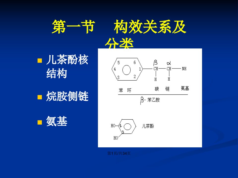 药理学8肾上腺素受体激动药