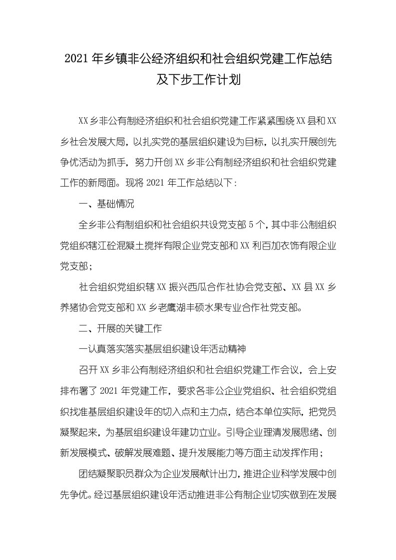 2021年乡镇非公经济组织和社会组织党建工作总结及下步工作计划