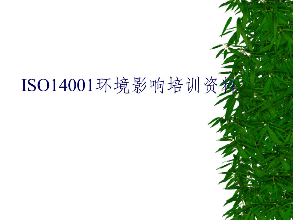 ISO14001国际标准