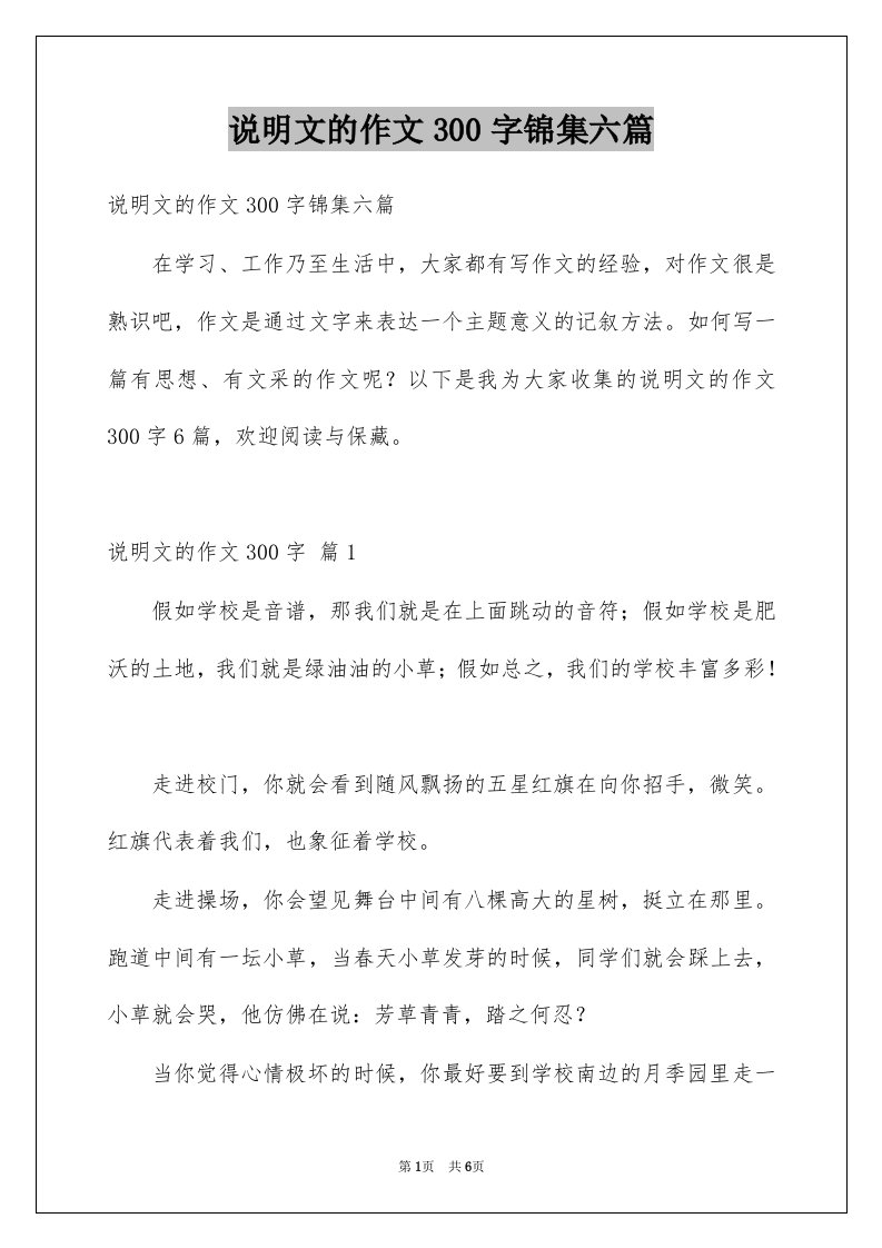 说明文的作文300字锦集六篇精选