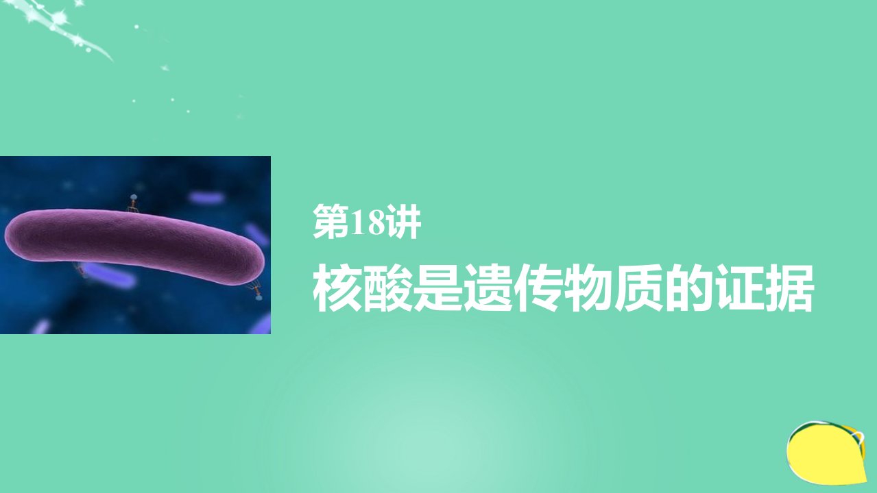 新高考生物一轮复习