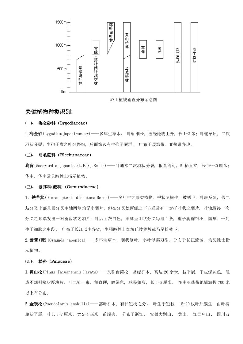 庐山主要植物种类模板