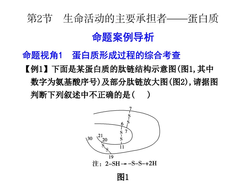 生物高考总复习1课件