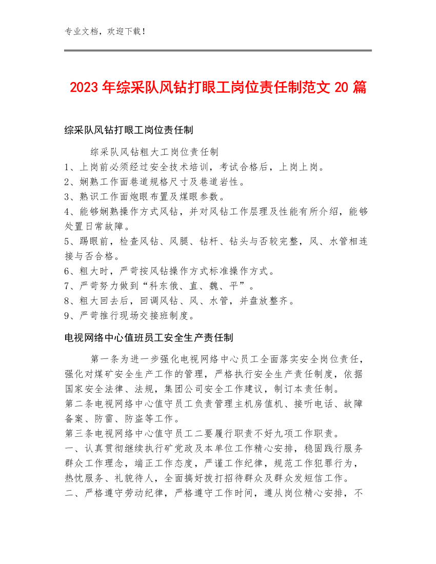 2023年综采队风钻打眼工岗位责任制范文20篇