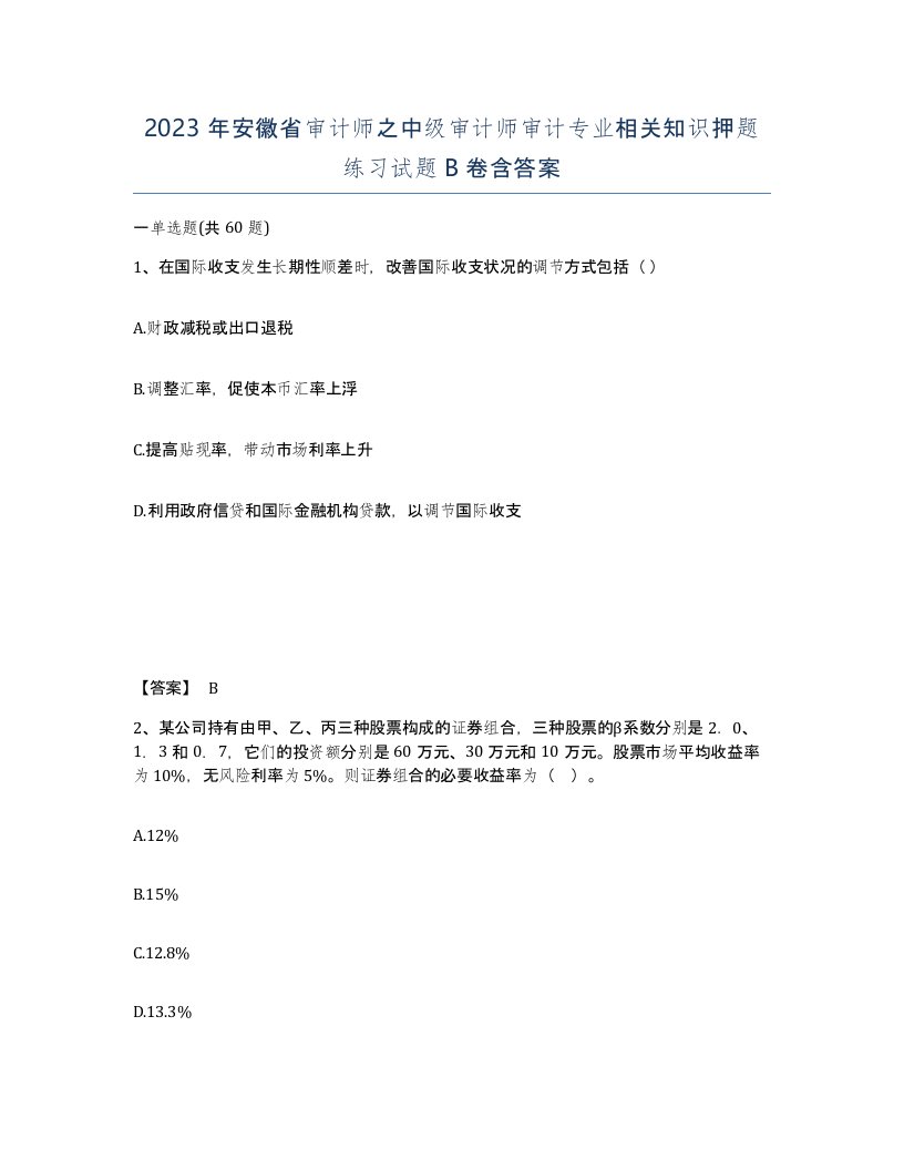 2023年安徽省审计师之中级审计师审计专业相关知识押题练习试题B卷含答案