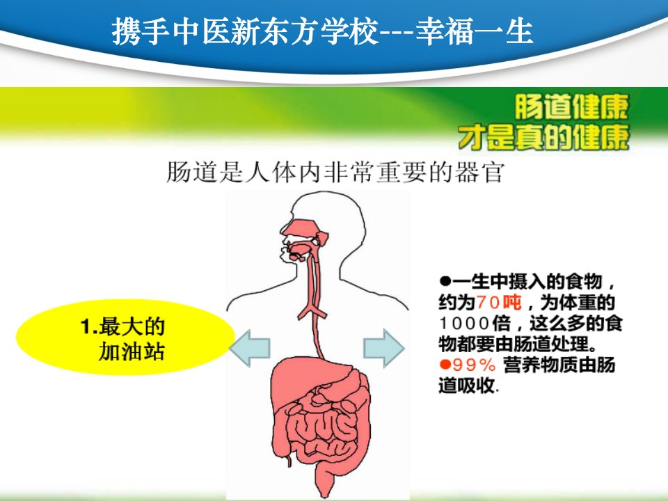 肠道健康才是真健康PPT课件