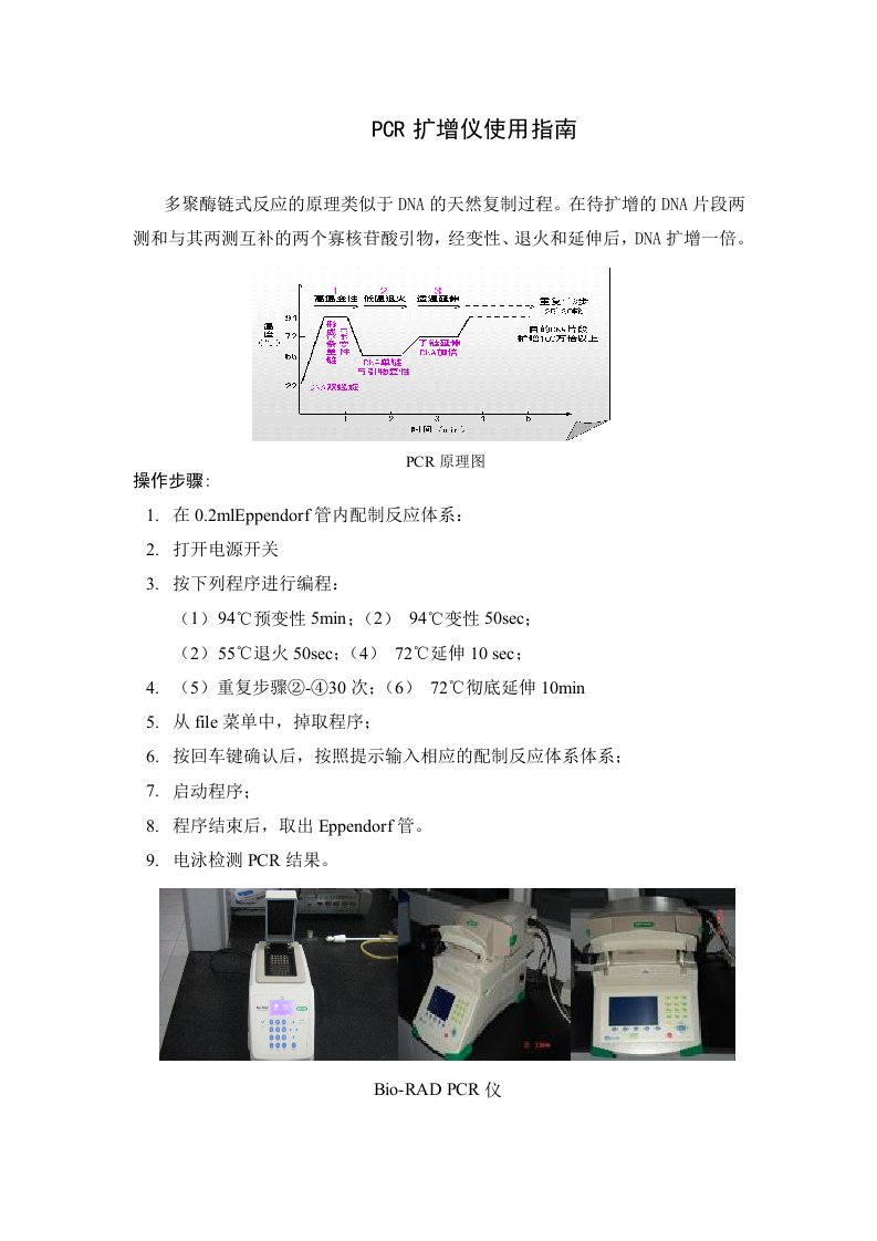 PCR扩增仪使用指南