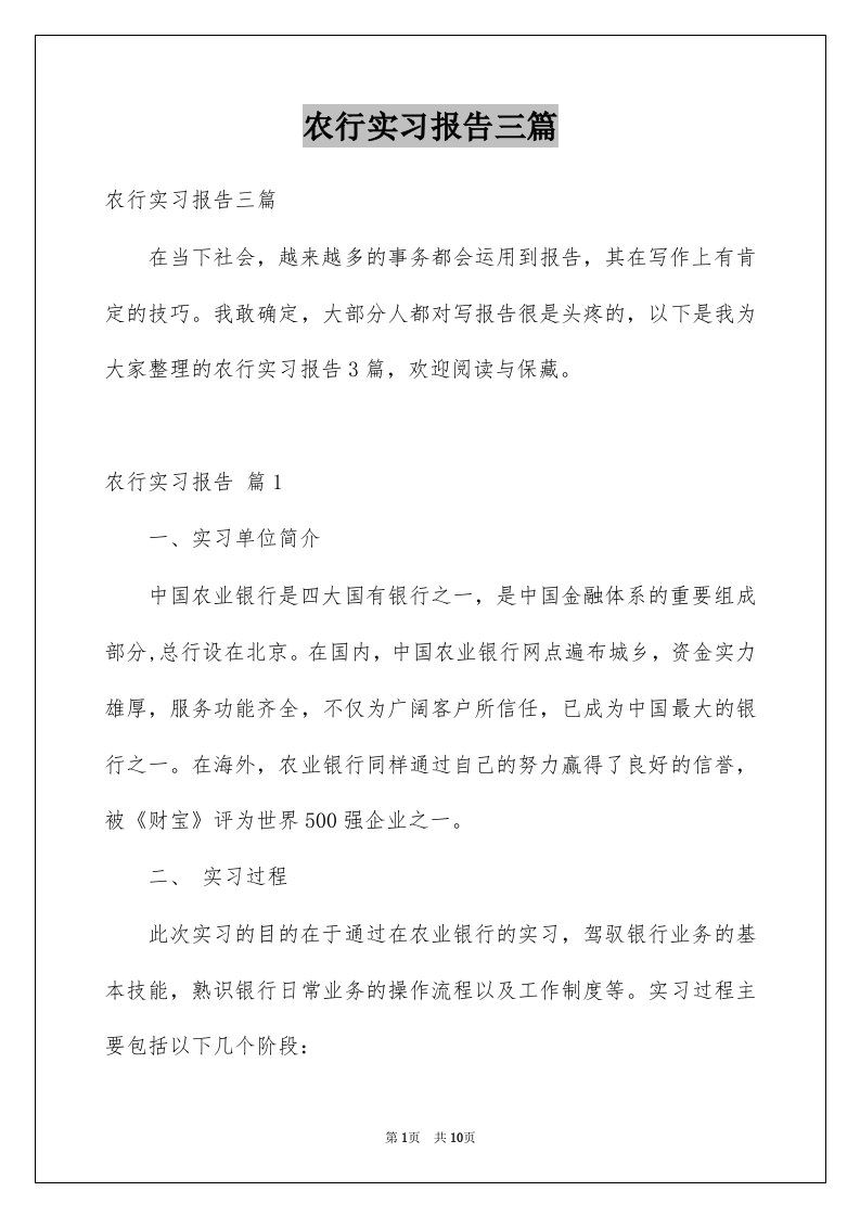 农行实习报告三篇