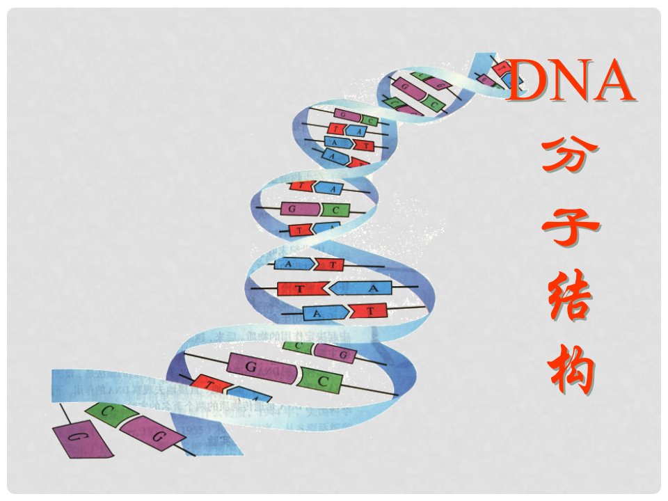 内蒙古乌审旗无定河镇河南学校高中生物