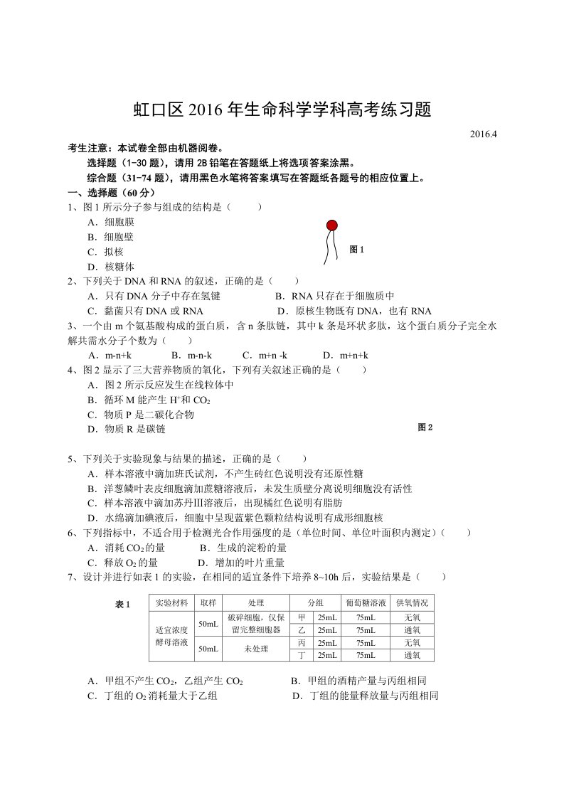 2016年虹口区高三生命科学二模卷