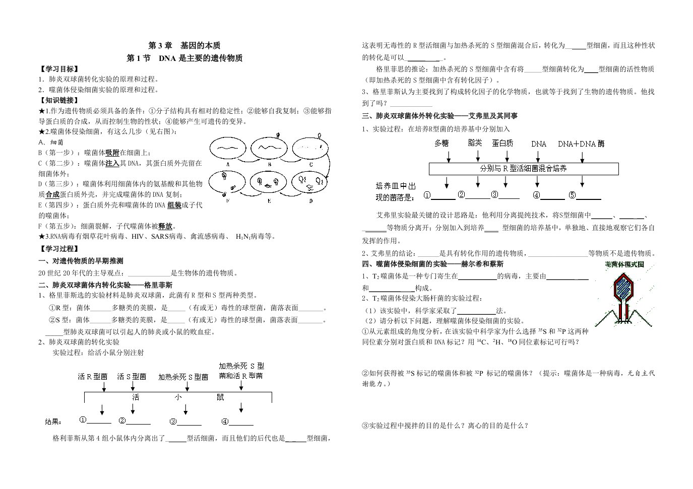 DNA是主要的遗传物质(学案)