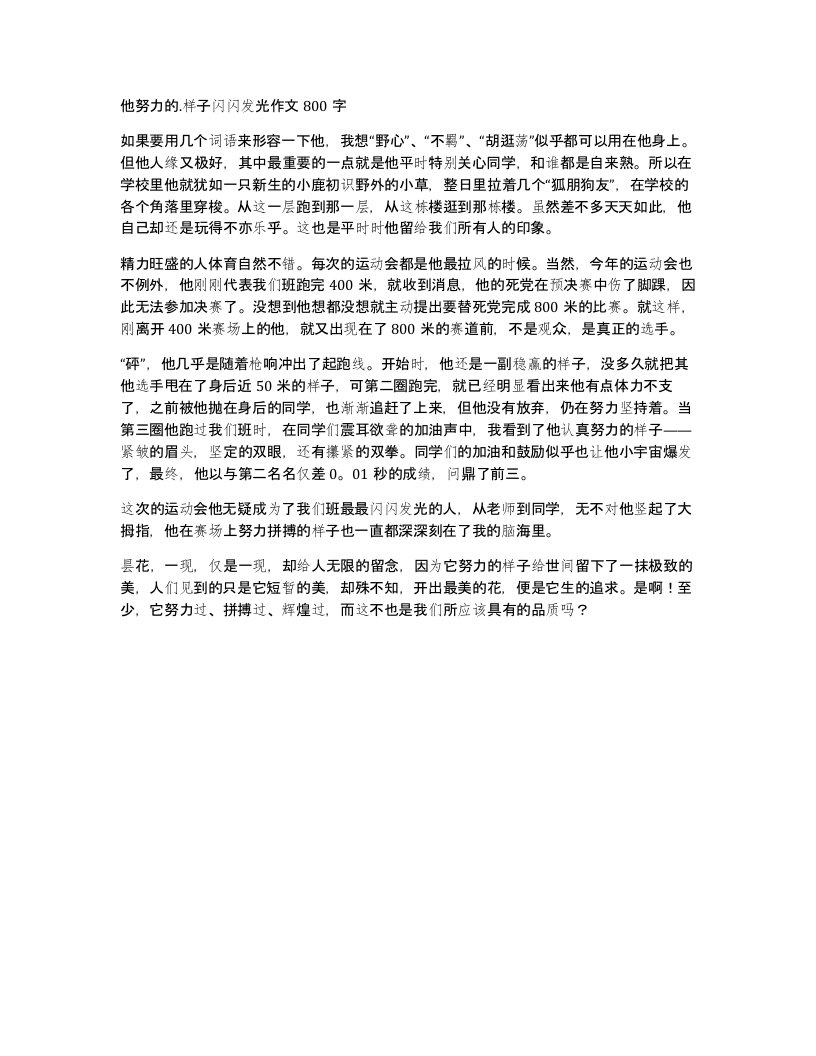 他努力的.样子闪闪发光作文800字