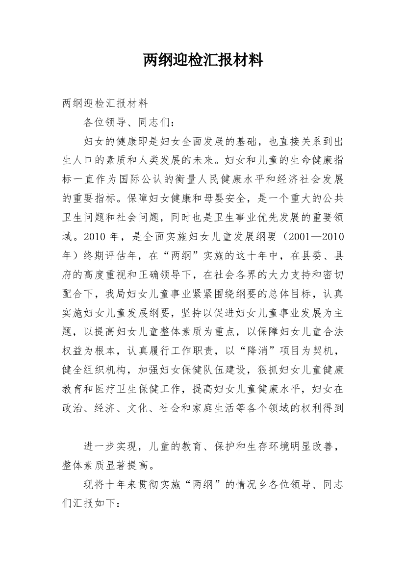 两纲迎检汇报材料