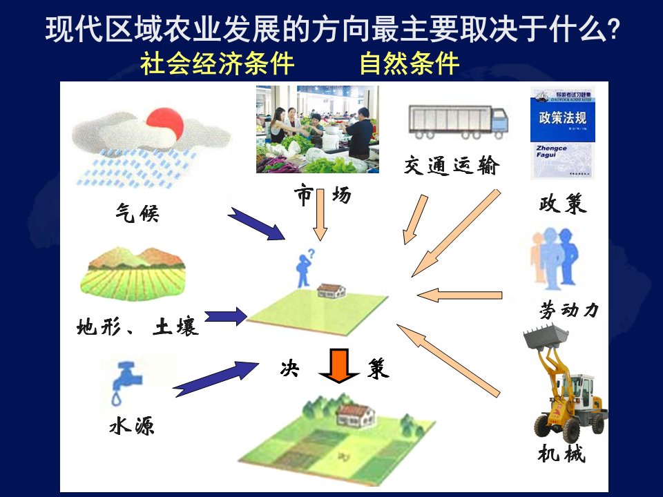 区域农业发展东北为例