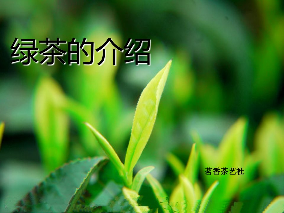 绿茶介绍讲解学习