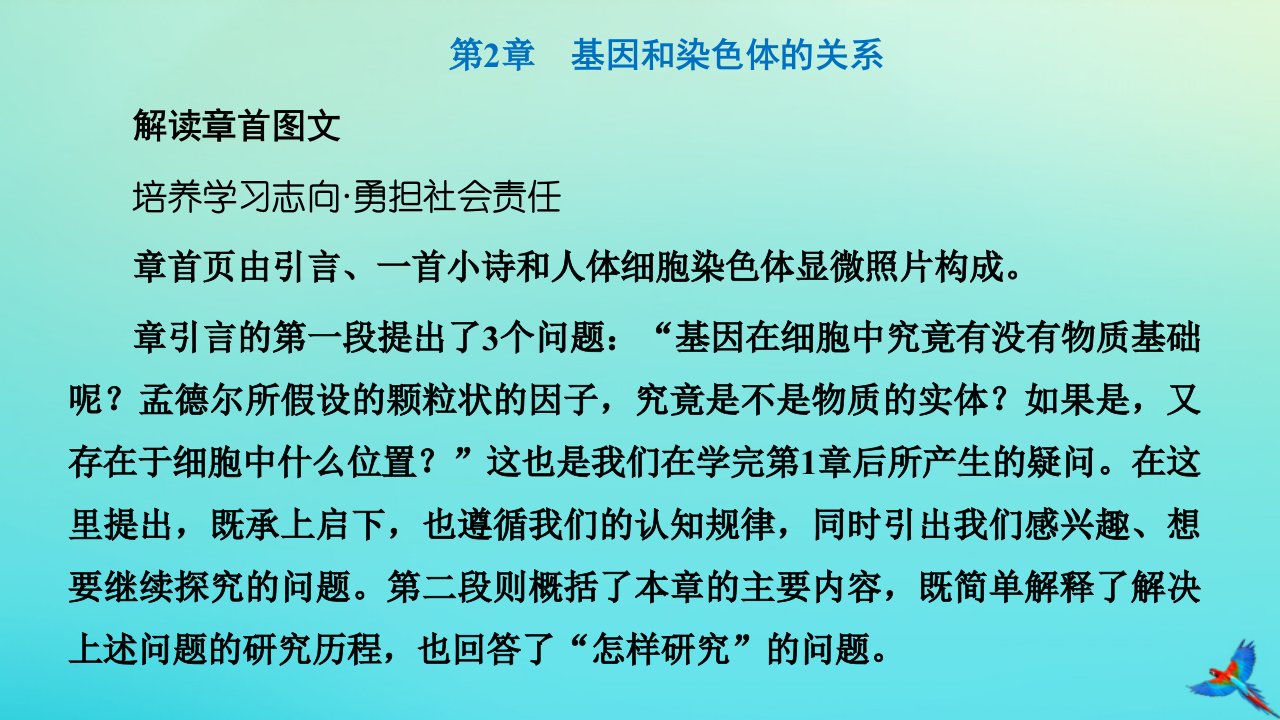 2023新教材高中生物第2章基因和染色体的关系第1节减数分裂和受精作用第1课时减数分裂课件新人教版必修2