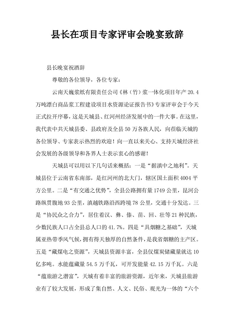 县长在项目专家评审会晚宴致辞