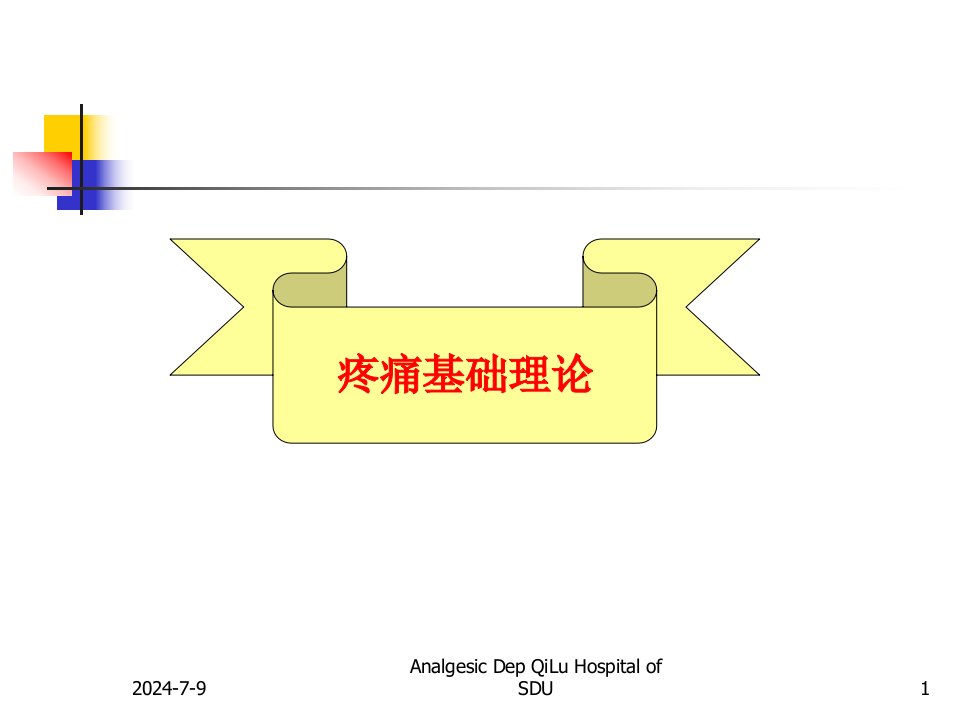 疼痛基础理论及诊疗原则PPT课件