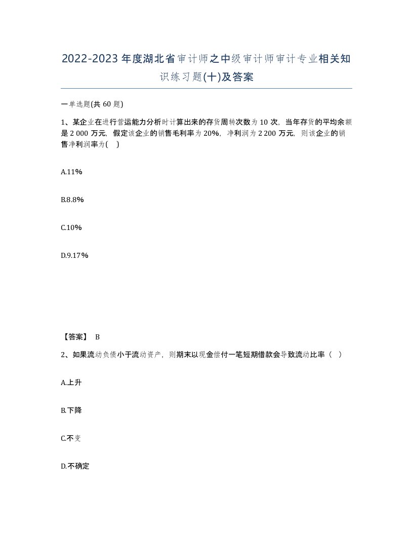 2022-2023年度湖北省审计师之中级审计师审计专业相关知识练习题十及答案