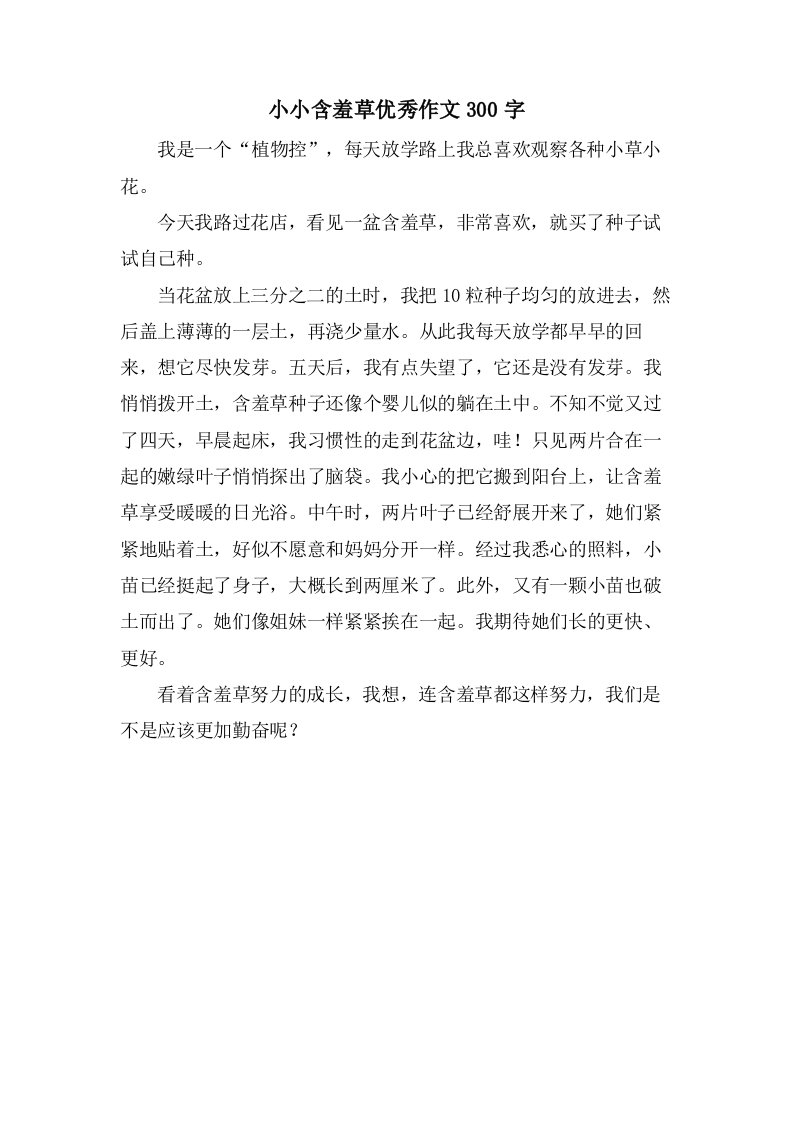 小小含羞草作文300字