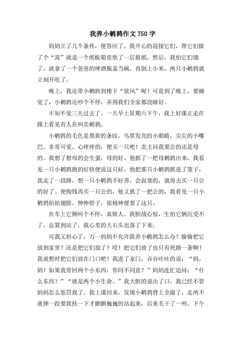 我养小鹌鹑作文750字