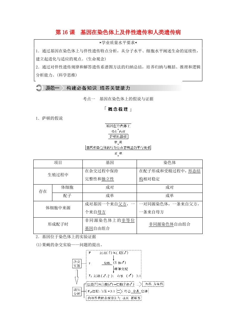 2024版高考生物一轮总复习第5单元遗传的基本规律与伴性遗传第16课基因在染色体上及伴性遗传和人类遗传病教师用书