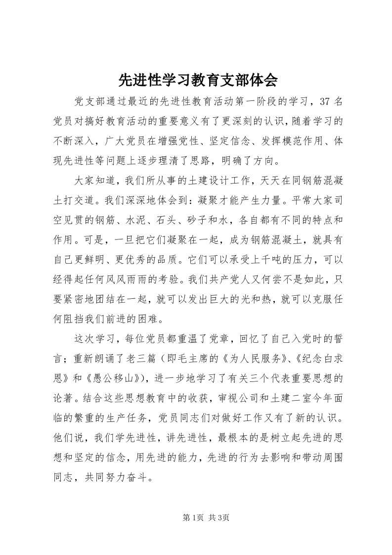 6先进性学习教育支部体会