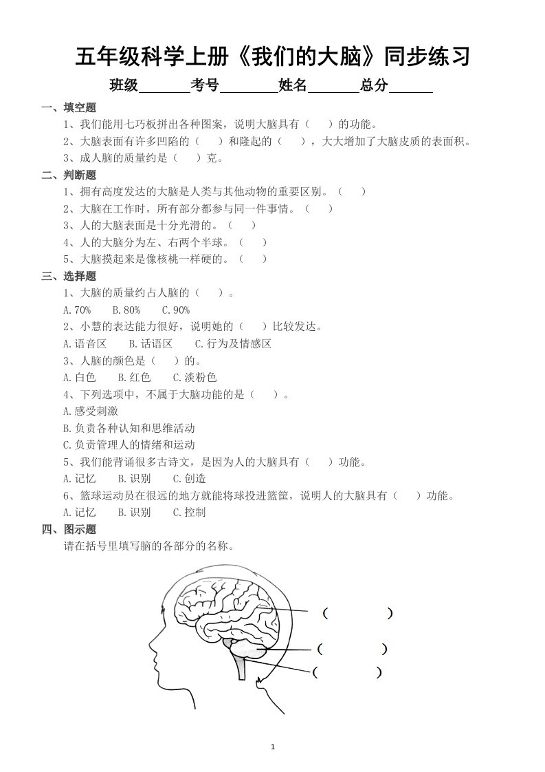 小学科学苏教版五年级上册第五单元第19课《我们的大脑》同步练习（2021新版，附参考答案）