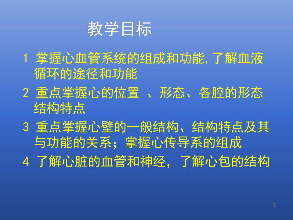 心血管系统讲解课件