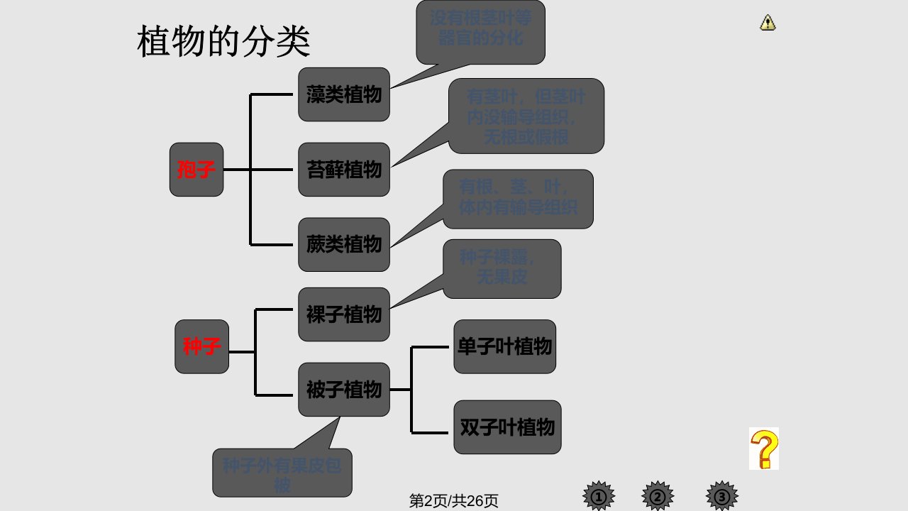 第六单元生物多样性及其保护课件