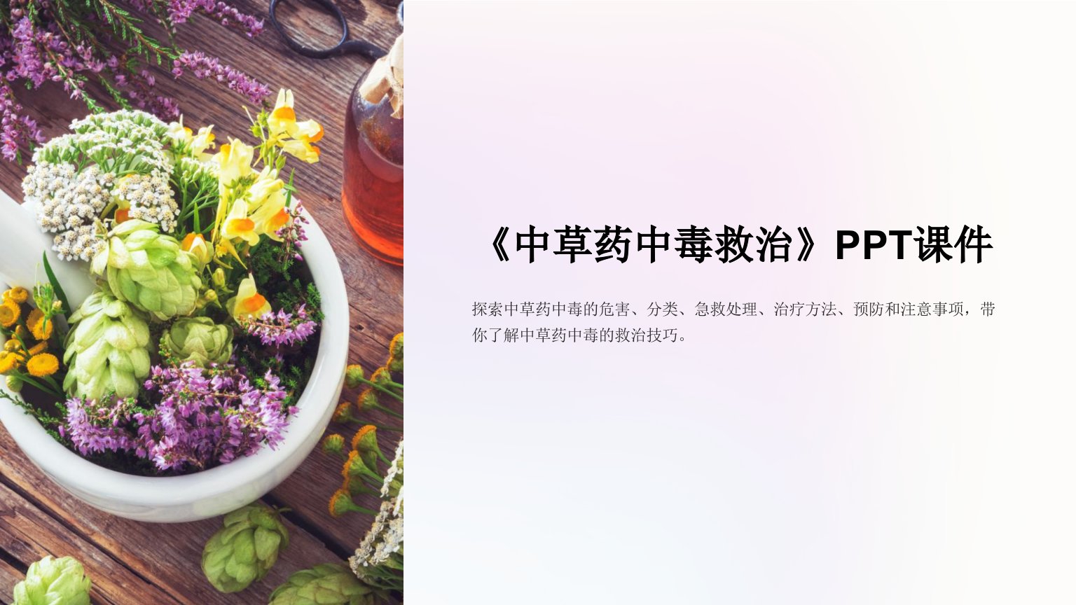 《中草药中毒救治》课件