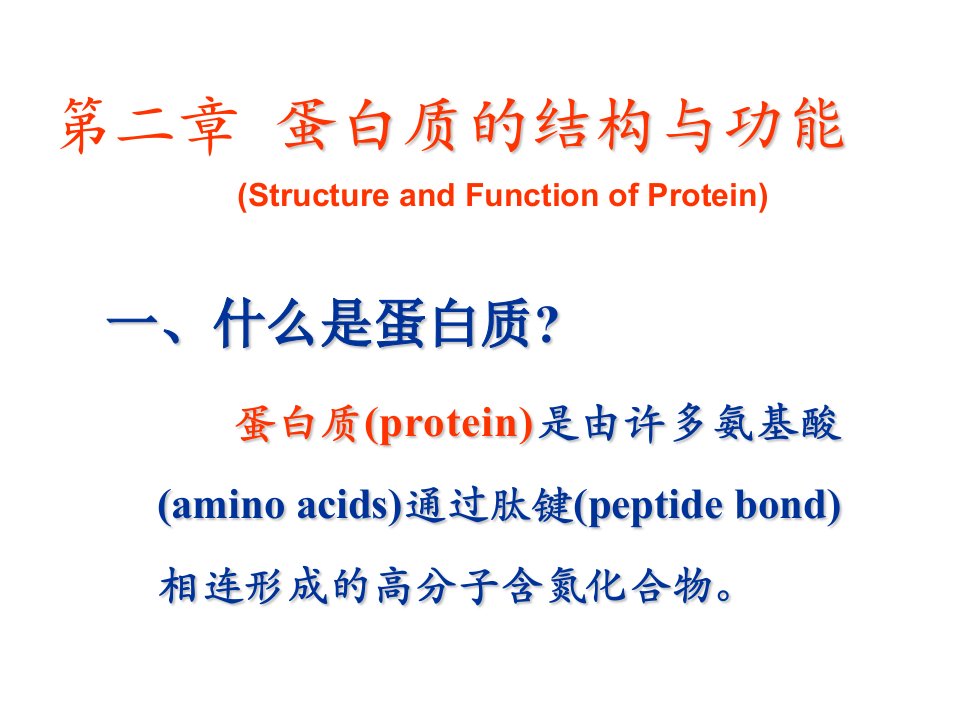 蛋白质的结构与功能ppt